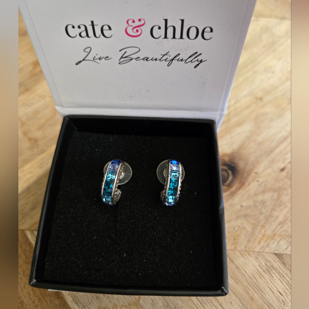 Sapphire Earrings